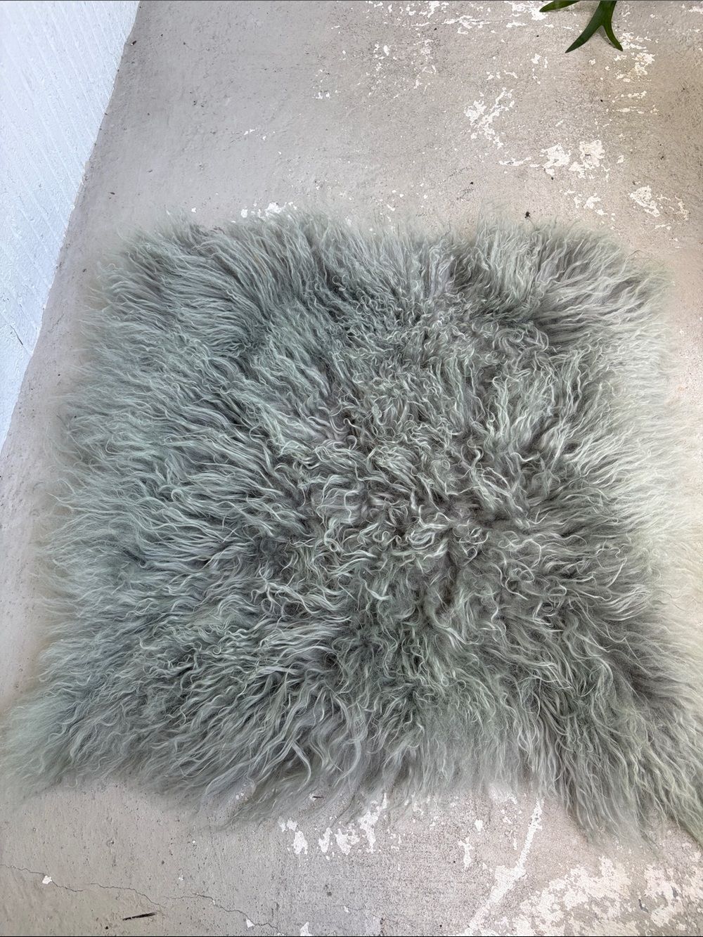 West elm Lamb fur pillow